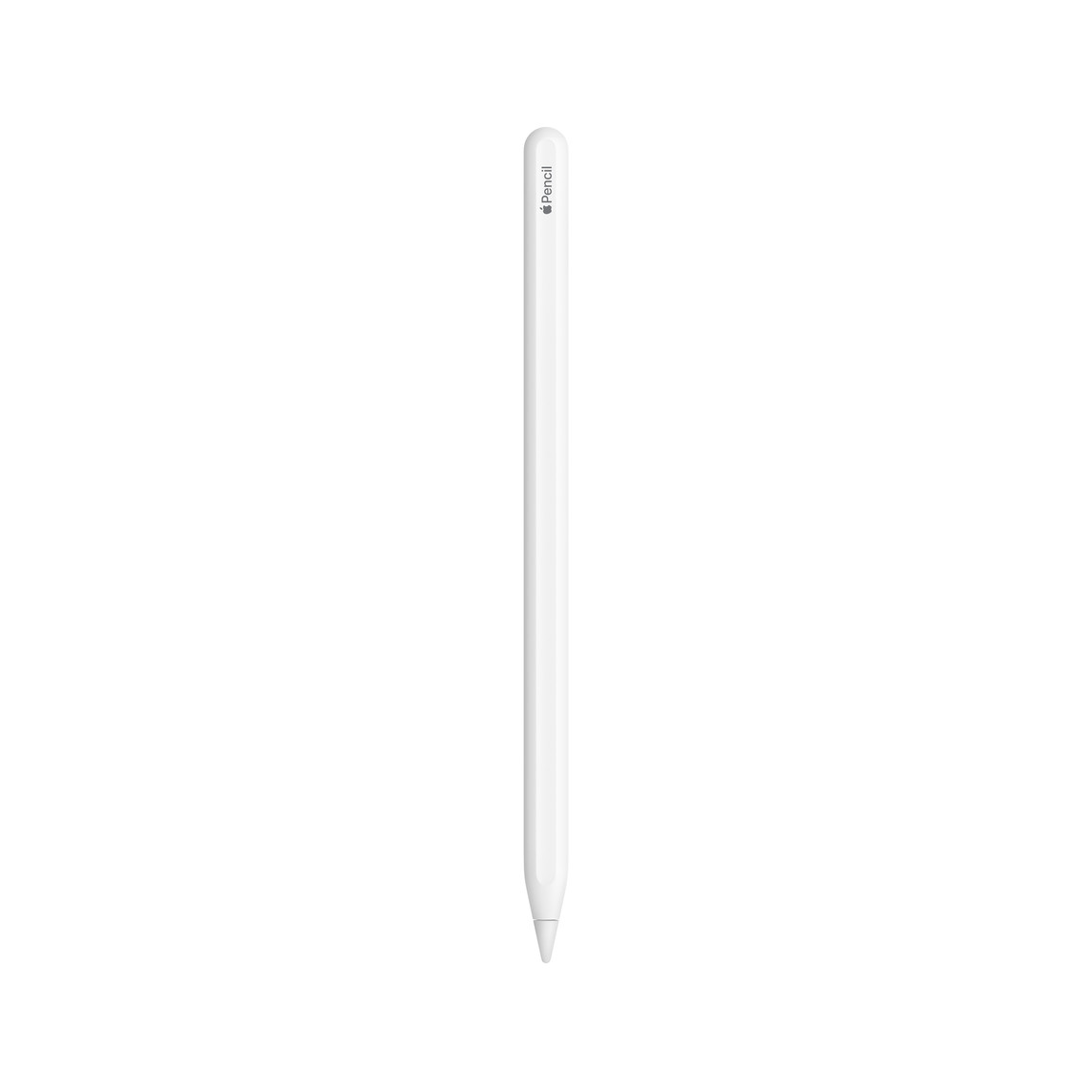 Apple Pencil : 2nd Generation